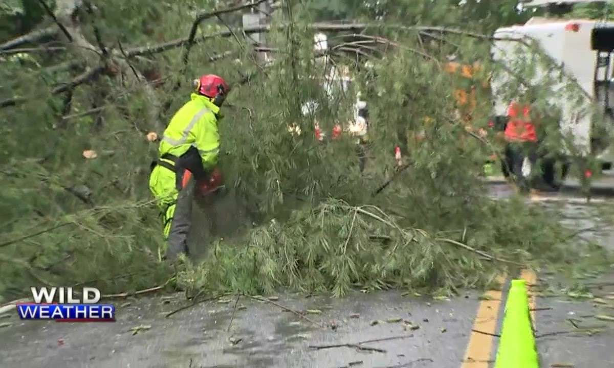 Cleanup begins after storms topple trees, cause flooding in parts of ...