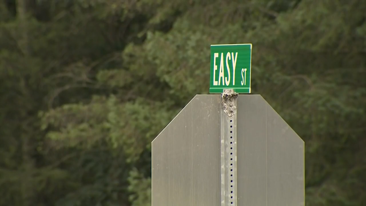 Teen attacked by two dogs in Windham, NH, transported to local hospital