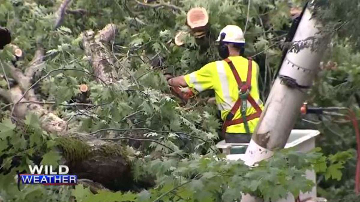 Cleanup continues after NWS confirms EF1 tornado touched down in ...