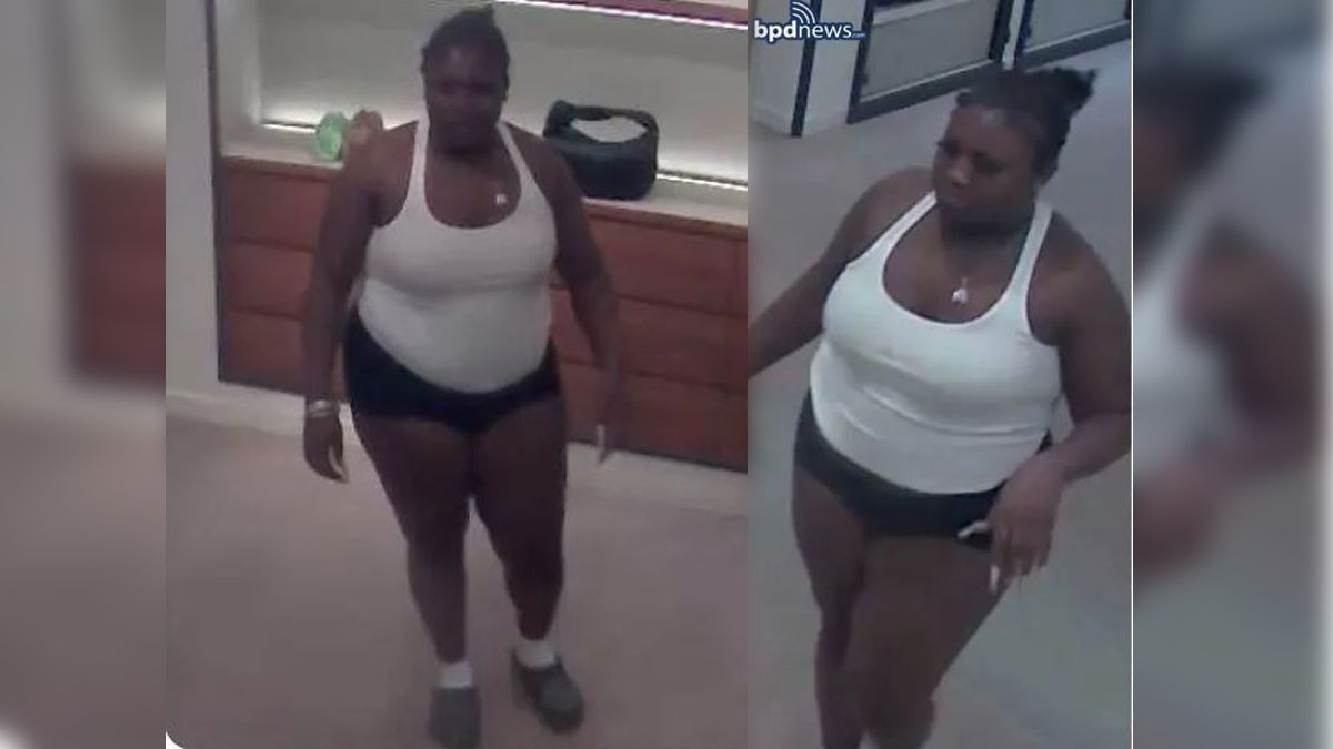 波士顿警方正在寻找在Boylston街上盗取了价值1.5万美元的手袋的女子