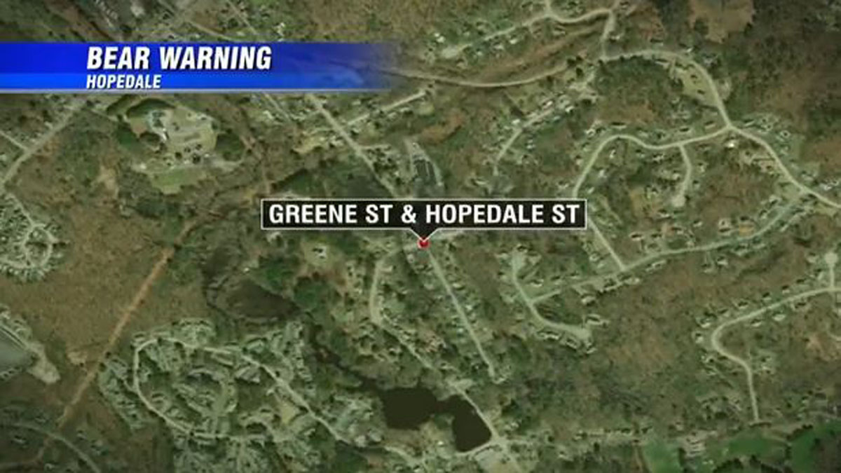 Police issue reminder after bear spotted in Hopedale Boston News