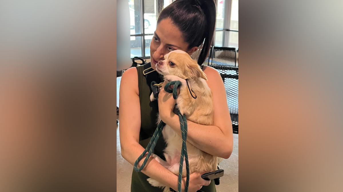 Boston police arrest suspect, return dog stolen from owner in Back Bay