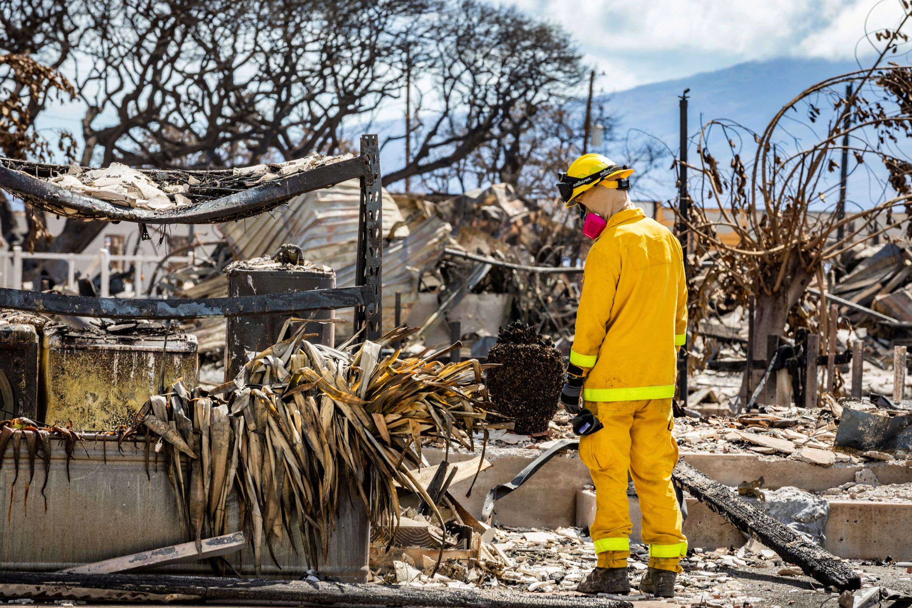 Maui's death toll reaches 111 as searchers – many coping with their own losses – comb the wildfire zone - Boston News, Weather, Sports - Vimarsana News