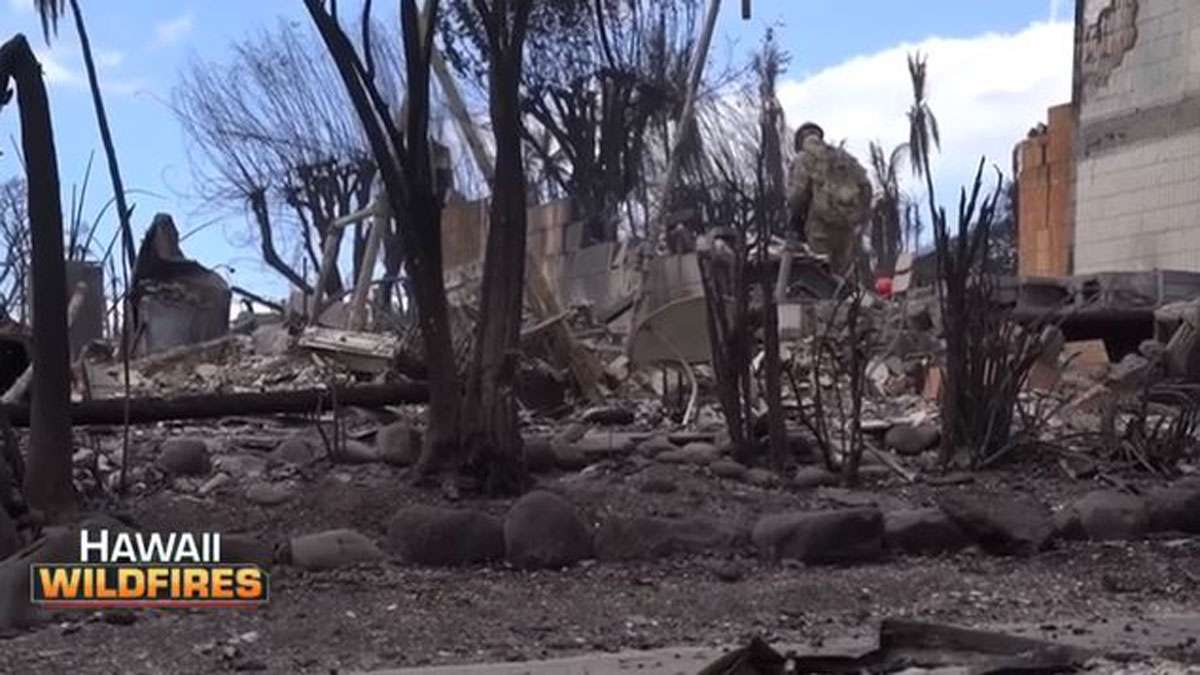 Cardinal Sean O'Malley authorizes special collection for Hawaii wildfire relief  - Boston News, Weather, Sports - Vimarsana News