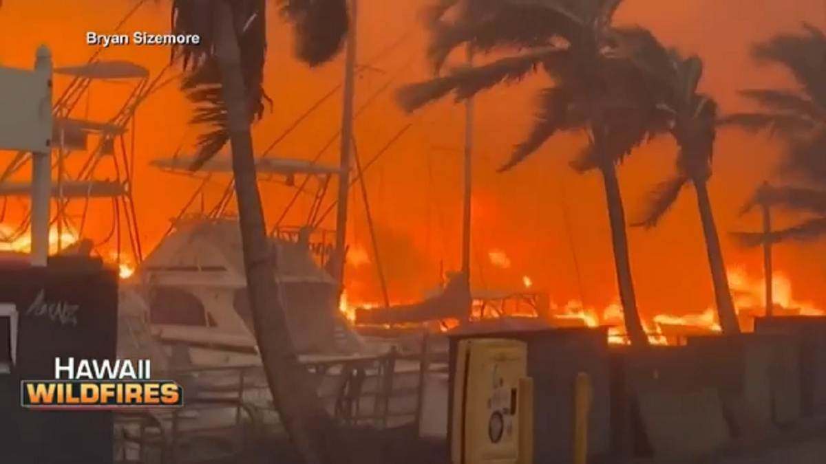 Death toll from Maui wildfires rises to 67 as survivors begin returning home to assess damage - Boston News, Weather, Sports - Vimarsana News
