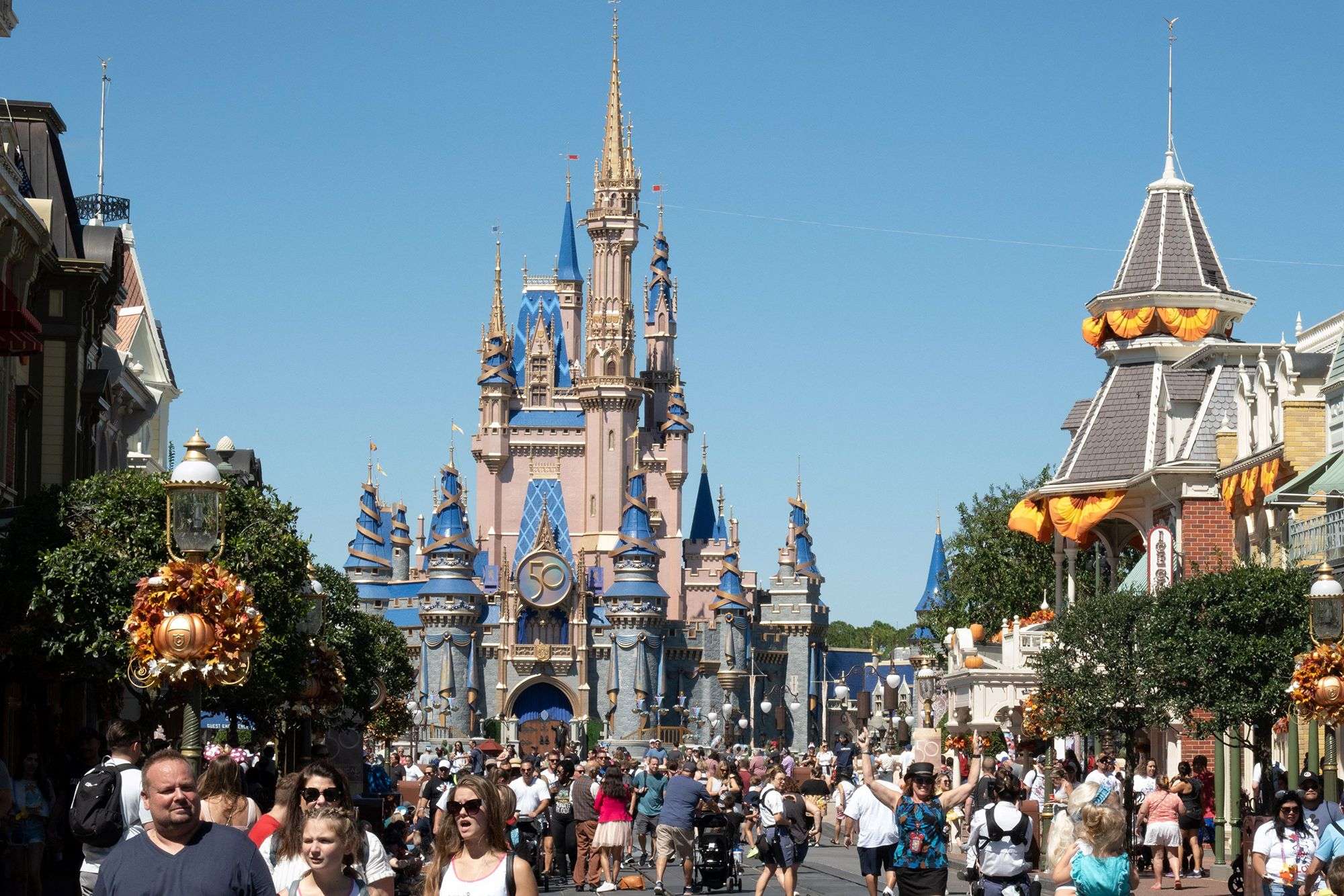 Bear spotted at Disney World prompts closure of parts of Magic Kingdom - Boston News, Weather, Sports - Vimarsana News