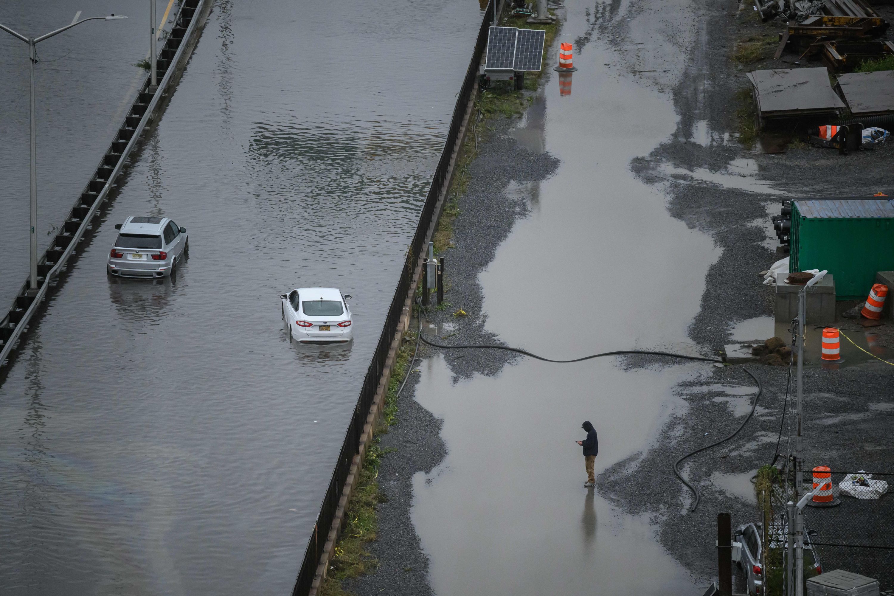 Sea lion escapes enclosure at Central Park Zoo due to New York flooding