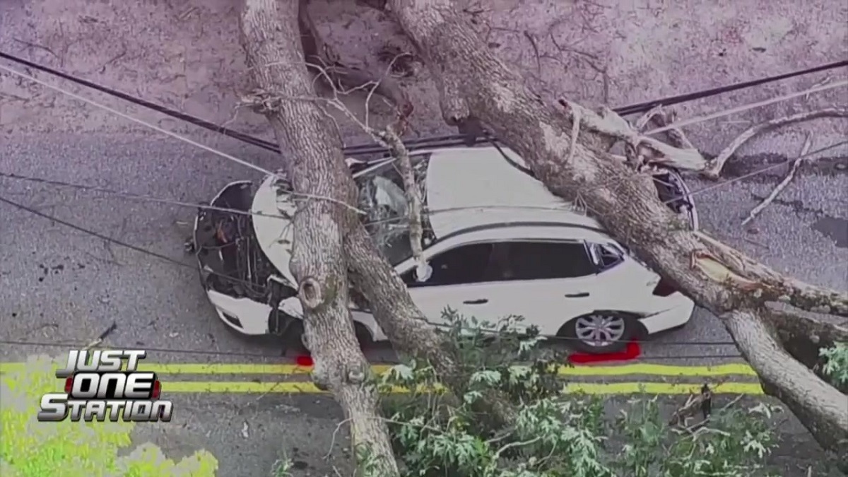 Douglas couple describes tree crushing their moving car, trapping them