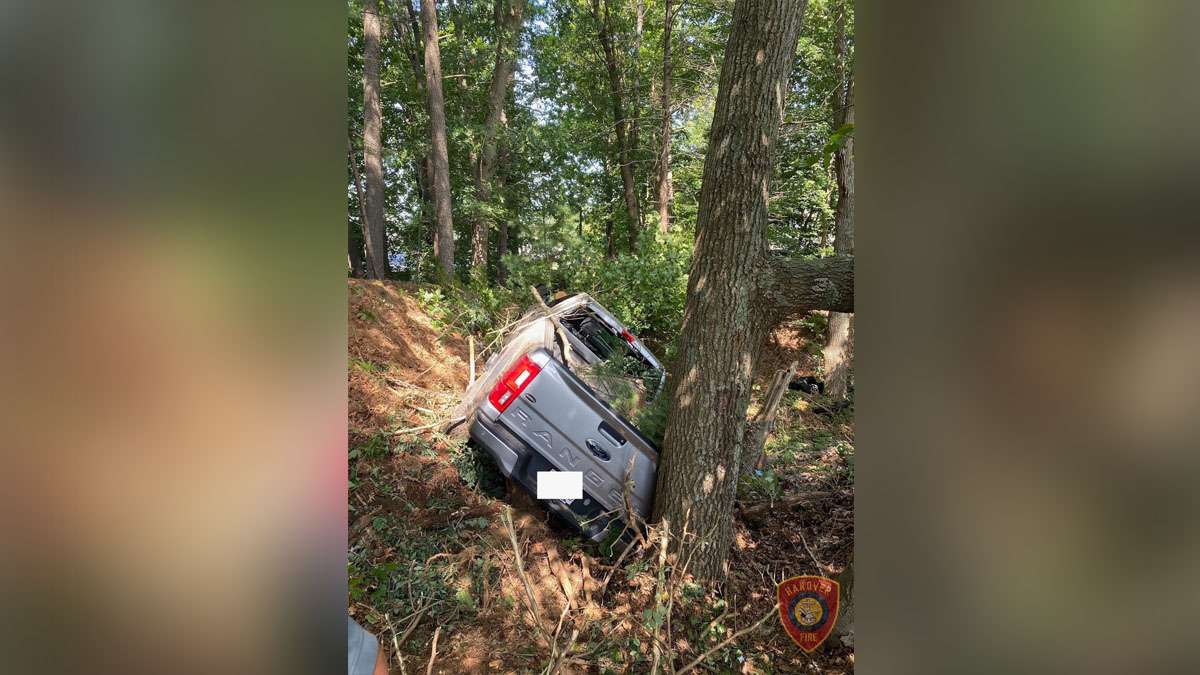 Person taken to hospital after pickup truck crashes into wooded area in ...