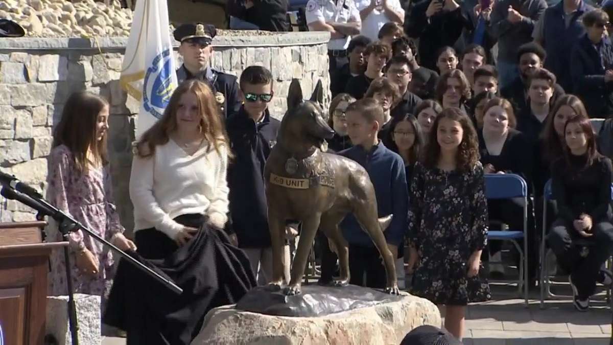 New memorial honors Braintree K9 killed in the line of duty in 2021 - Boston News, Weather, Sports - Vimarsana News