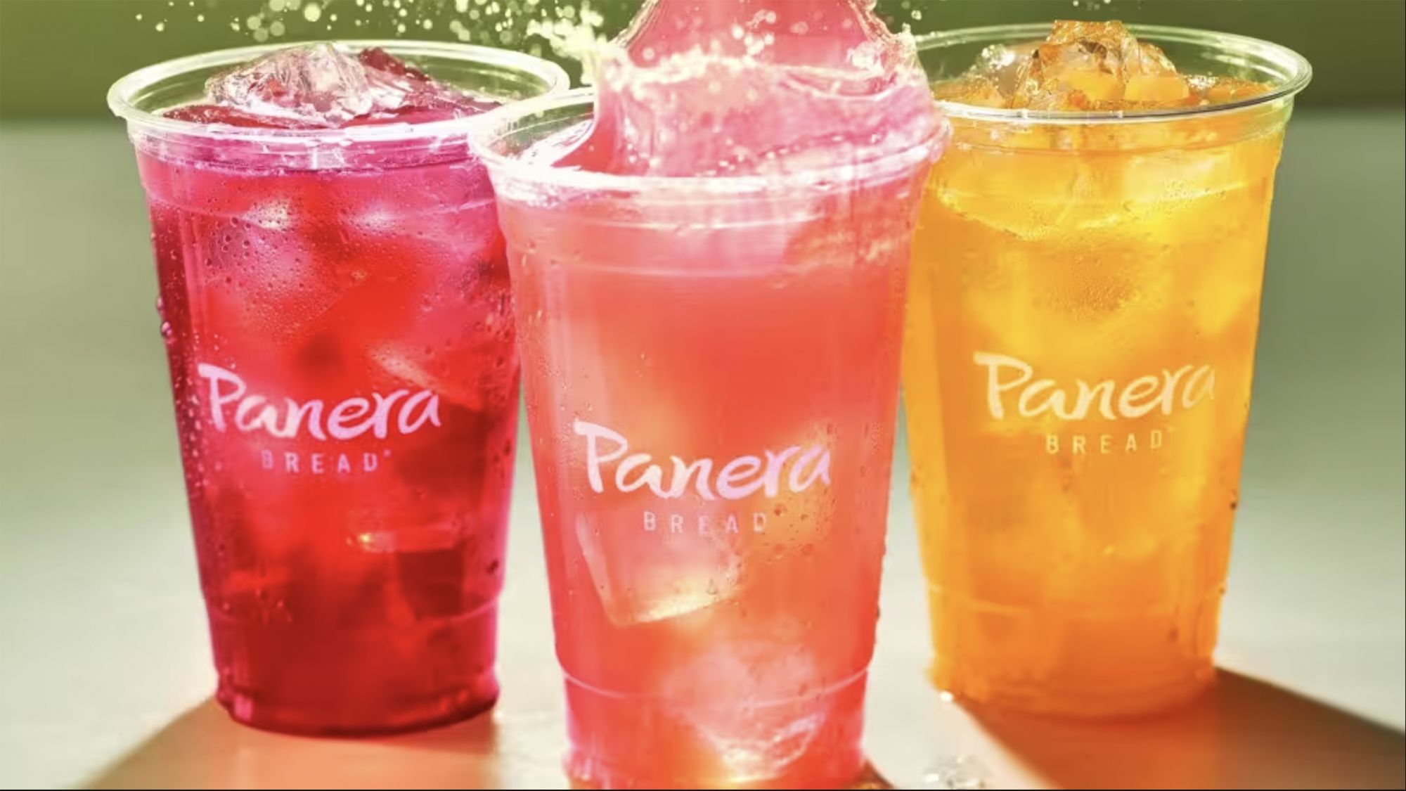Panera Faces Lawsuit Over Charged Lemonade Energy Drink After 21 year the-number-of-panera-breads-in-every-state-map-vinepair