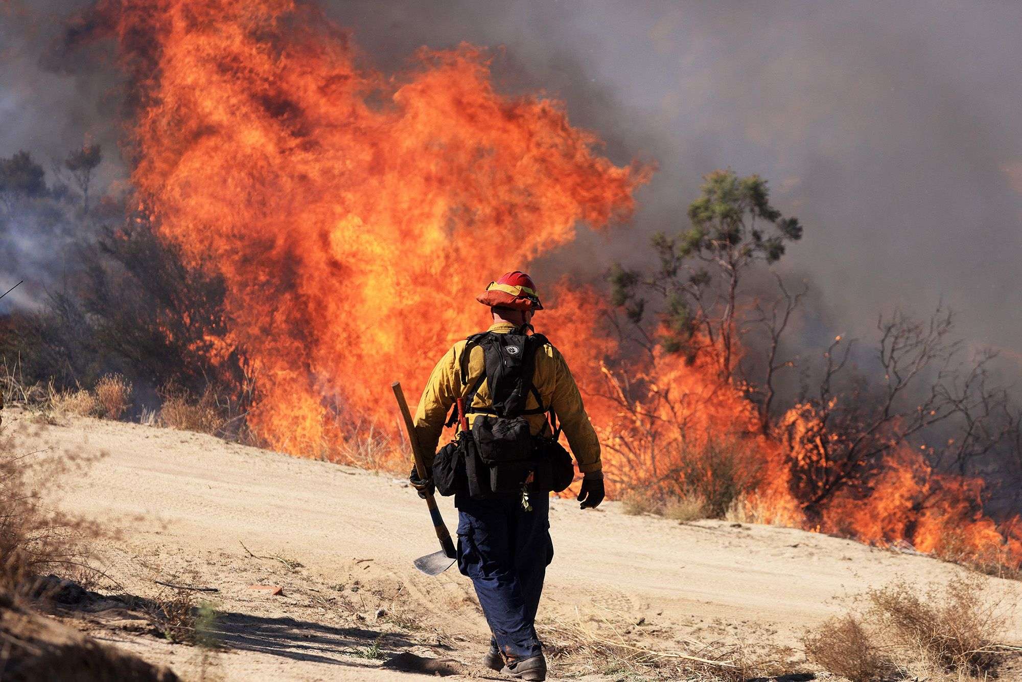 Humanity just lived through the hottest 12 months in at least 125,000 years - Boston News, Weather, Sports - Vimarsana News