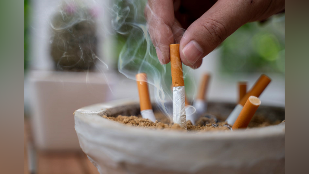 cigarette max san leandro BLAZE N MAX - Updated May 2026 - 22 Photos & 16 Reviews - 169 Pelton Center  Way, San Leandro, California - Tobacco Shops - Phone Number