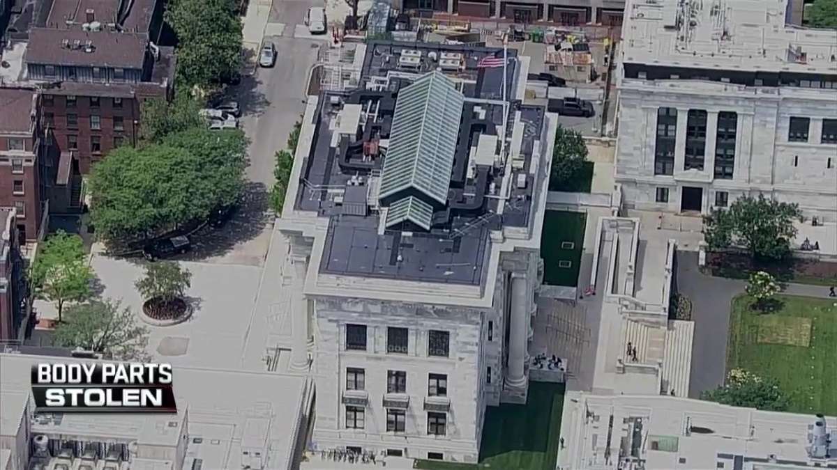 Report urges Harvard to tighten security procedures after investigation into stolen body parts - Boston News, Weather, Sports - Vimarsana News