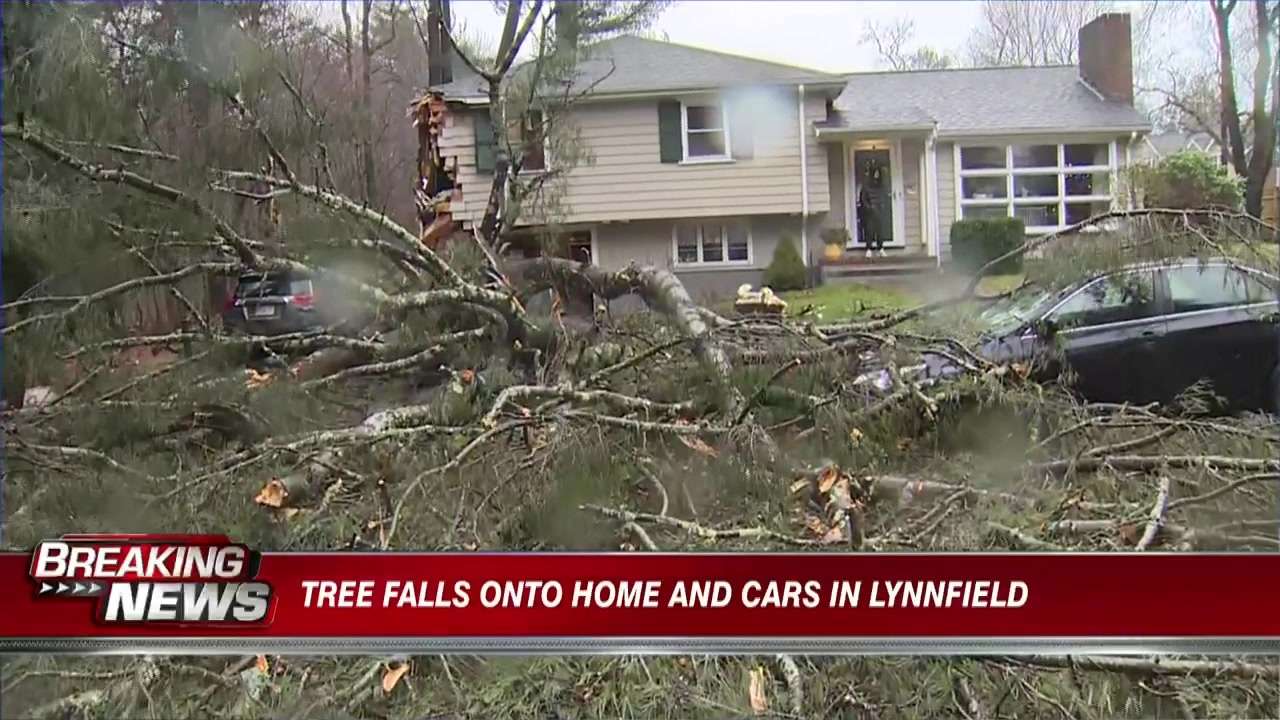 Downed trees cause extensive damage, traffic across state as wind gusts reach 50-70 mph in some spots - Boston News, Weather, Sports - Vimarsana News