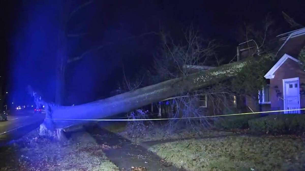 Cleanup underway after deadly storm topples trees, knocks out power, floods roads around New England - Boston News, Weather, Sports - Vimarsana News