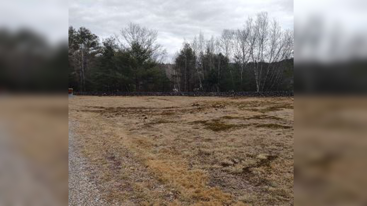 Police investigating possible criminal mischief at NH cemetery Boston