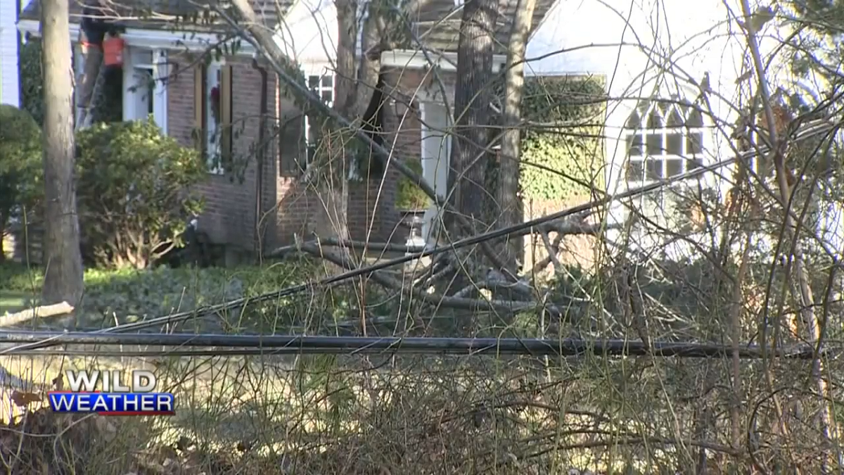 'Trees down and branches everywhere': South Shore residents describe damage after storm - Boston News, Weather, Sports - Vimarsana News