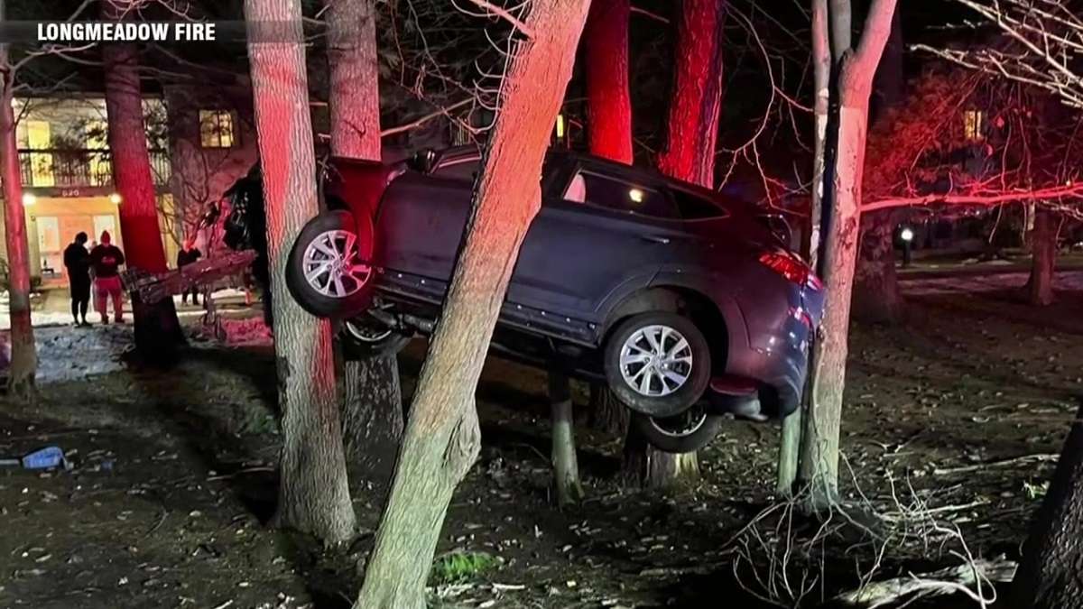 Crash in Longmeadow leaves SUV stuck in trees - Boston News, Weather, Sports - Vimarsana News