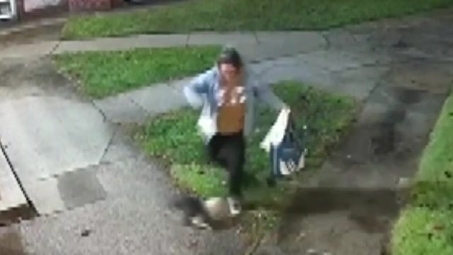 Woman accused of kicking small dog repeatedly in Lowell pleads not guilty, ordered to have no contact with animals – Boston News, Weather, Sports