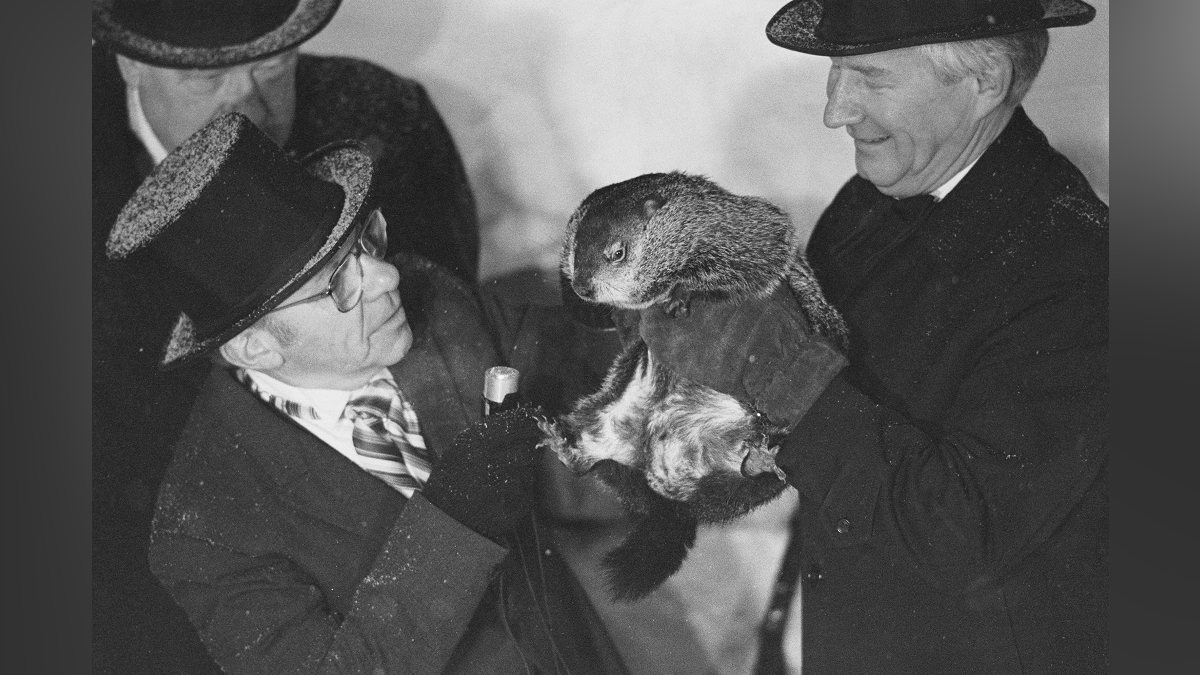 The bizarre history of Groundhog Day - Boston News, Weather, Sports