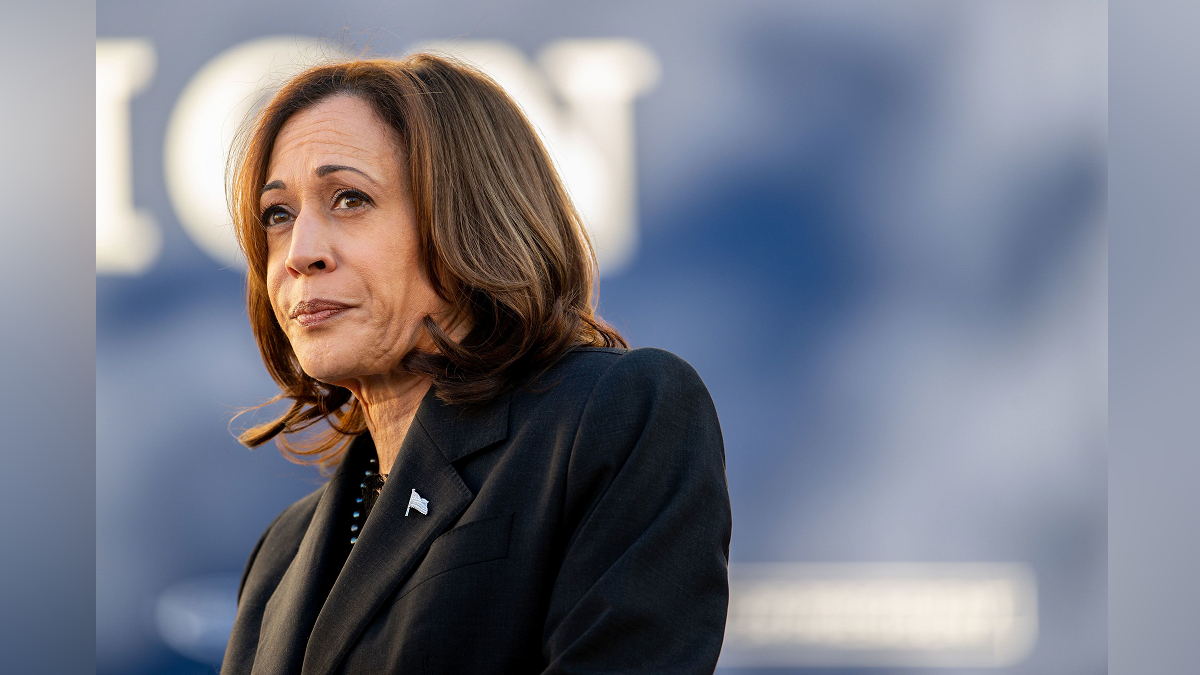 Harris says reports of Navalny's death are another sign of Putin's brutality - Boston News, Weather, Sports - Vimarsana News