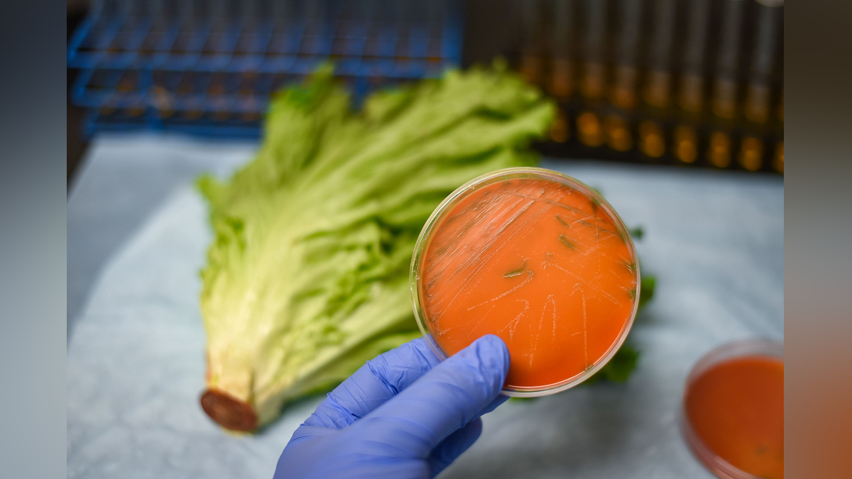 Listeria outbreak What to know and how to protect yourself Boston