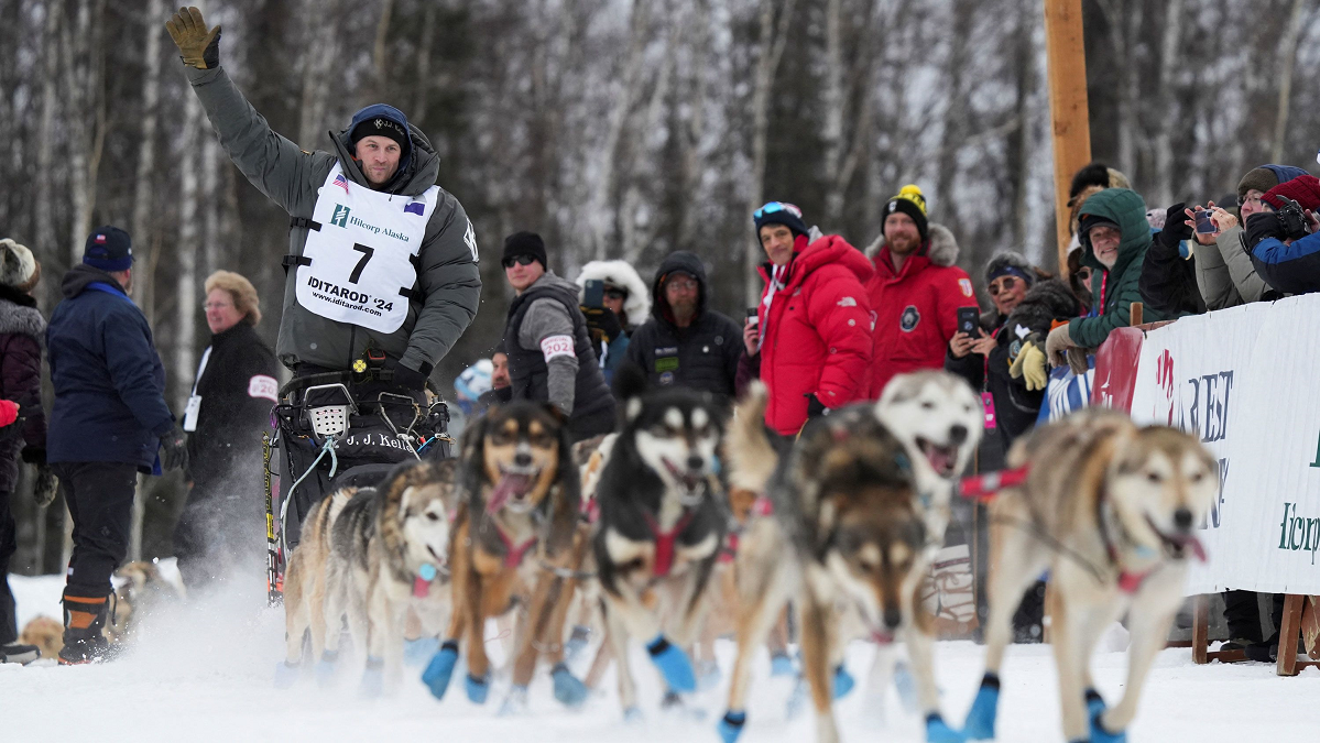 Dallas Seavey 2024 Iditarod Tamma Fidelity