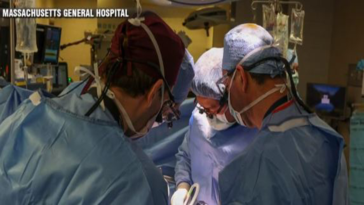 MGH surgeons have transplanted a pig kidney into a patient Boston