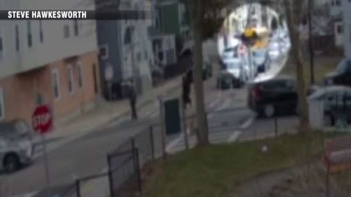 WATCH: Video shows moment school bus slammed into house in Dorchester ...