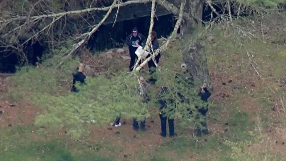 Human skull, additional bones discovered in Easton - Boston News, Weather, Sports - Vimarsana News