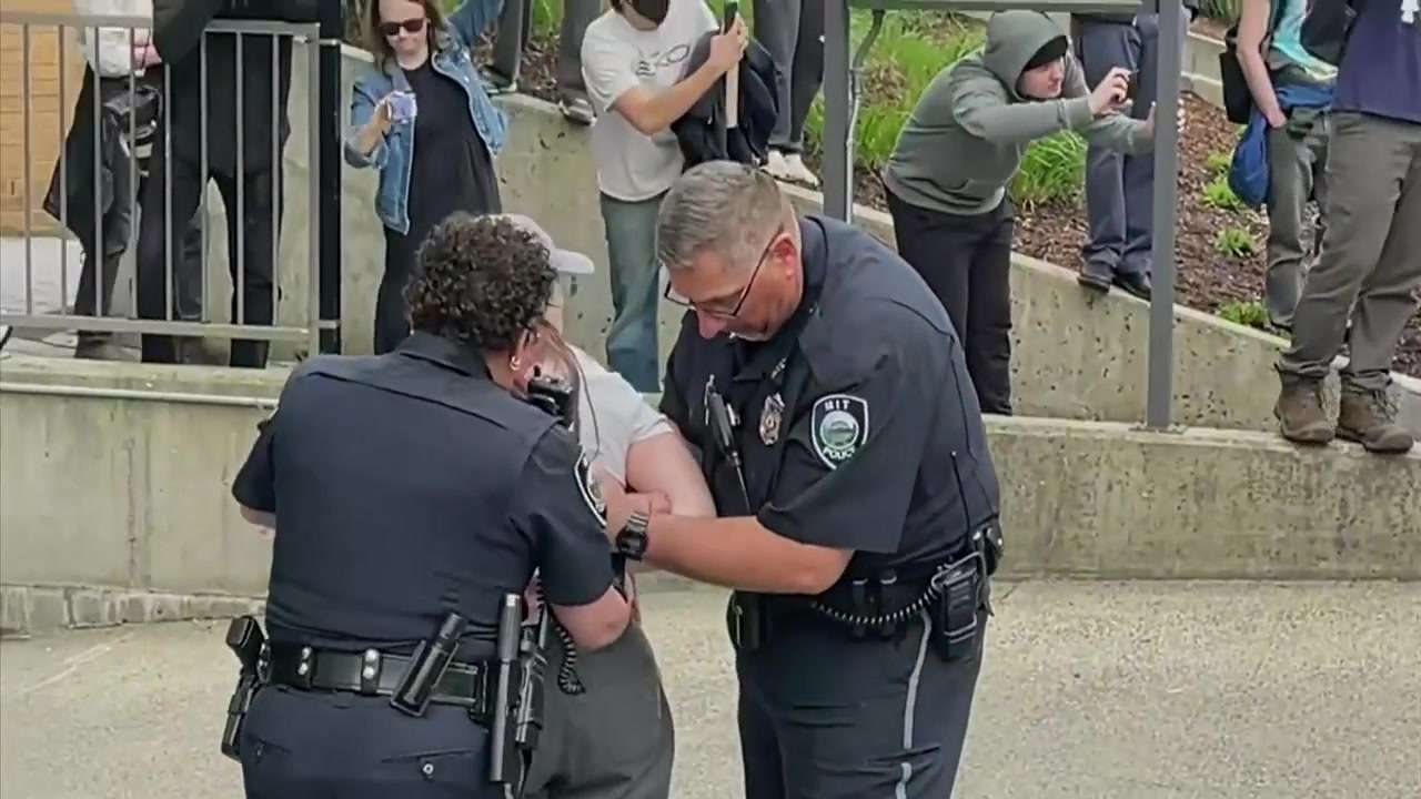 ‘Fewer than 10’ arrested after pro-Palestinian protesters and police ...