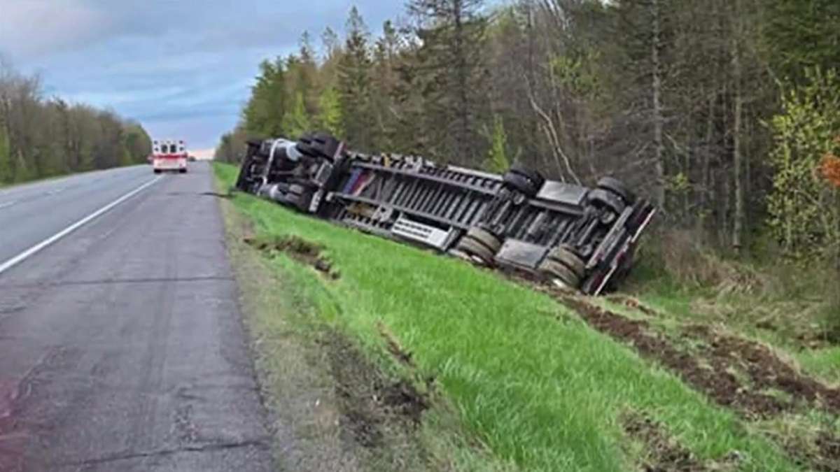 Most of 15 million bees contained after bee-laden truck crashes in ...