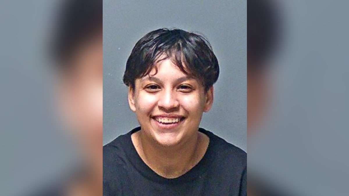 Woman faces charges after allegedly driving through Manchester, NH park ...