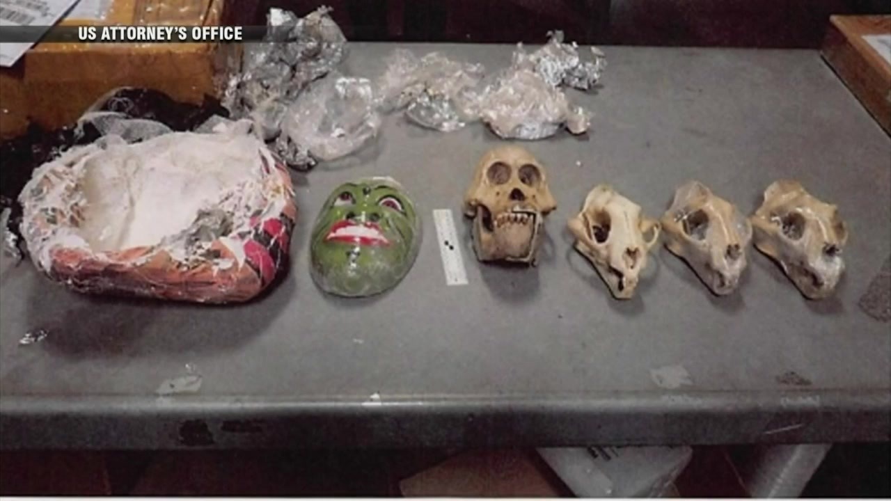 Reading man sentenced to prison for trafficking endangered wildlife