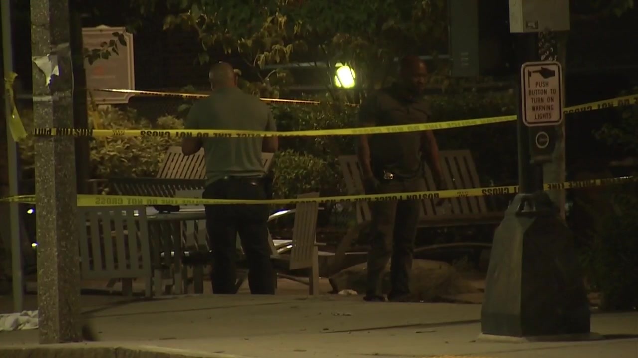 Woman arrested in connection with Roxbury double stabbing Boston News