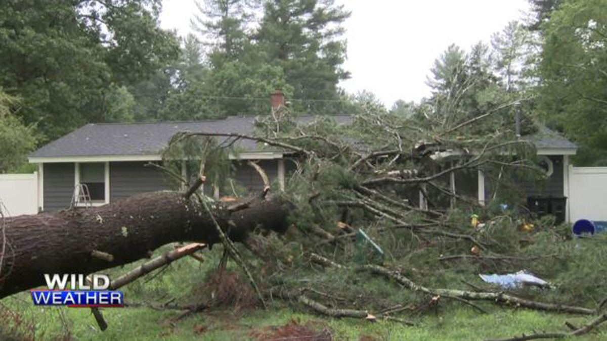 Huge tree falls on house in Chelmsford during storm – Boston News, Weather, Sports