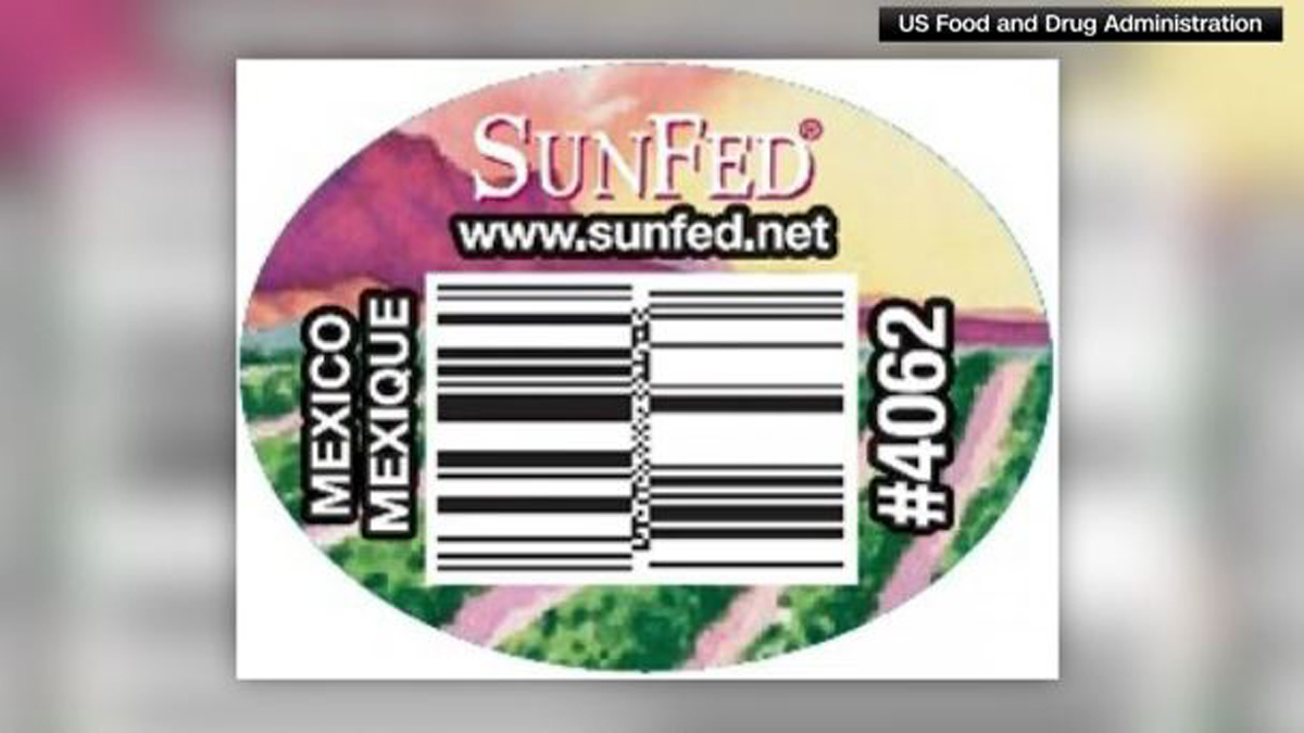 SunFed cucumbers and Costco eggs recalled due to potential salmonella
