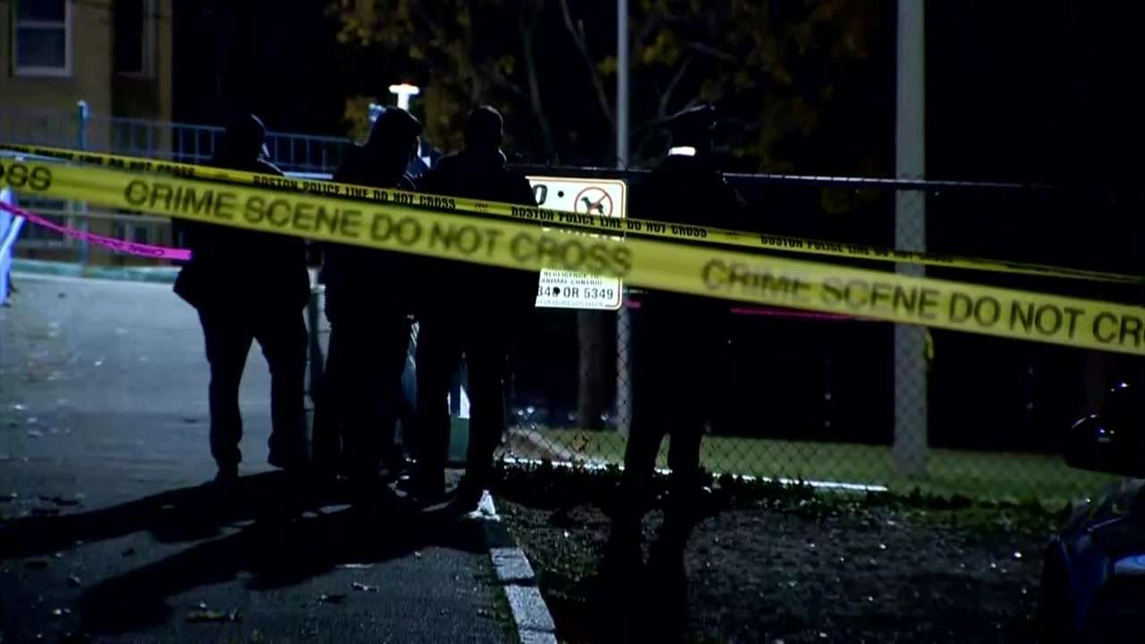 Officer among those bit by dog shot by police in Dorchester - Boston ...
