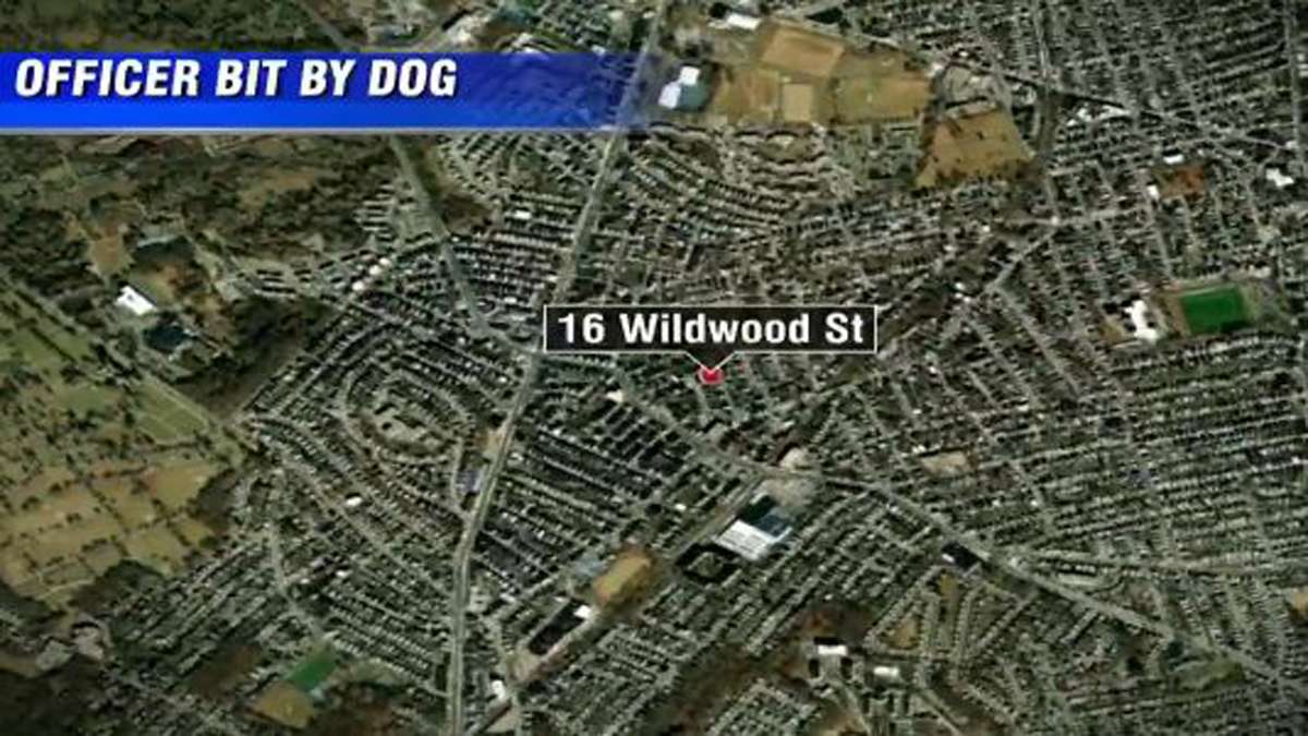 Boston police officer hospitalized after being bitten by dog - Boston ...