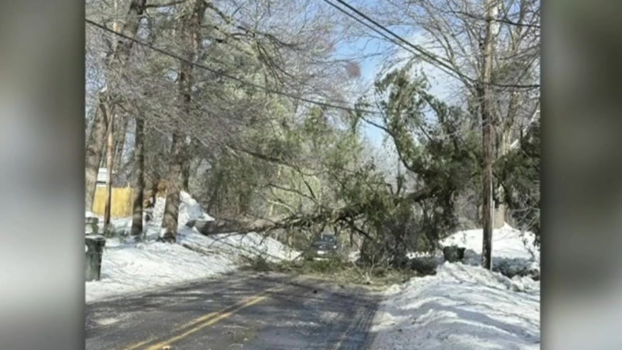 Bitter blast leads to crashes and trees down across Massachusetts