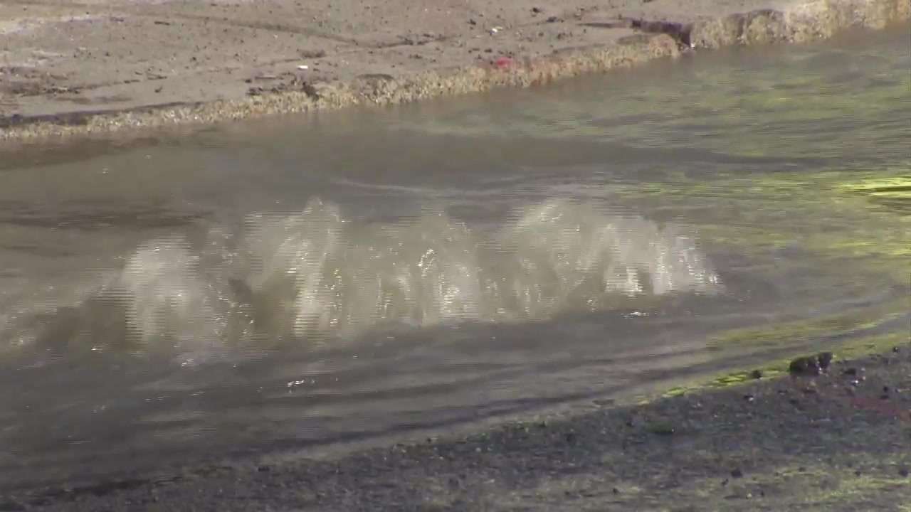 Crews respond to water main break in West Roxbury - Boston News ...