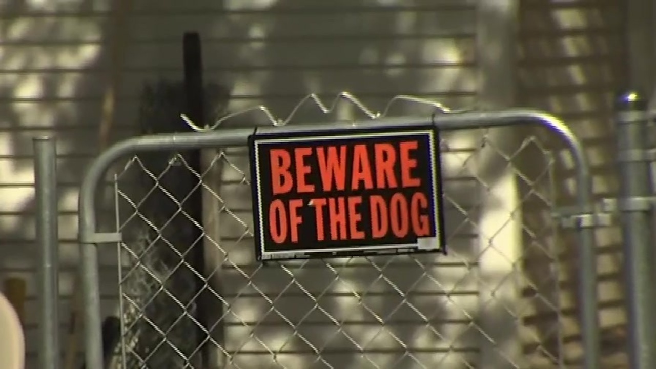 ‘He was MAULING that Child to Death’: 8-Year-LOY Attacked by Dog in Manchester, NH-BOSTON NEWS, Weather, SPORTS