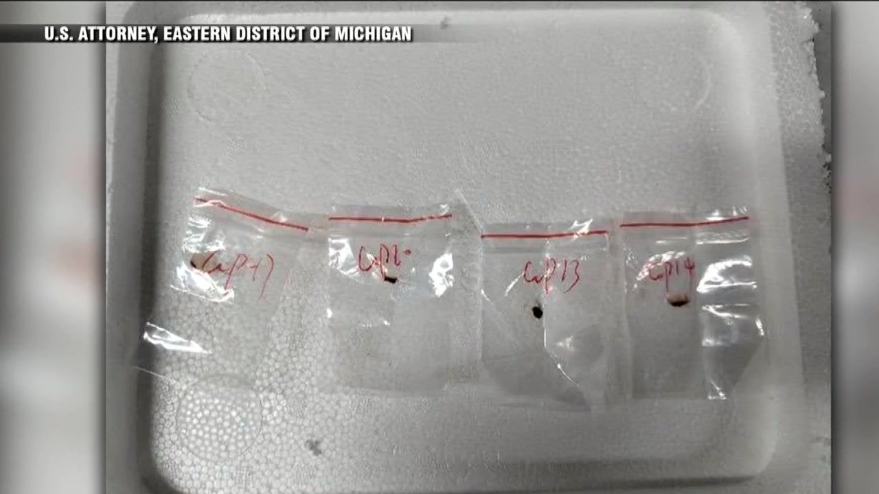 The Samples (whdh.com)