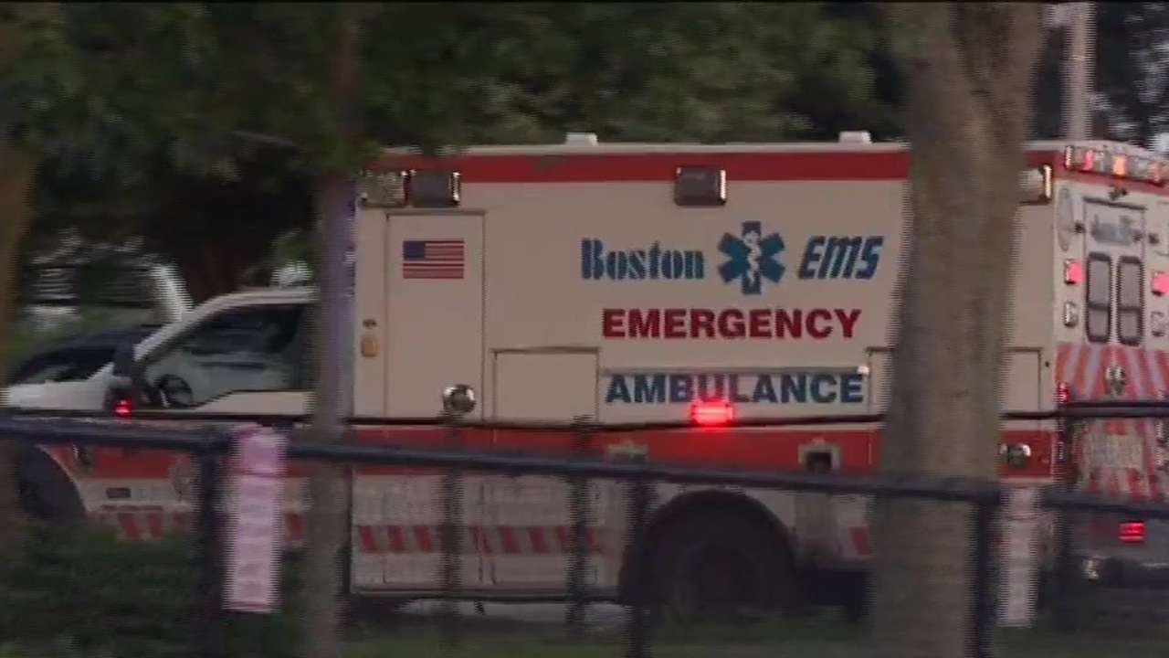 2-year-old hit by car in Dorchester - Boston News, Weather, Sports ...