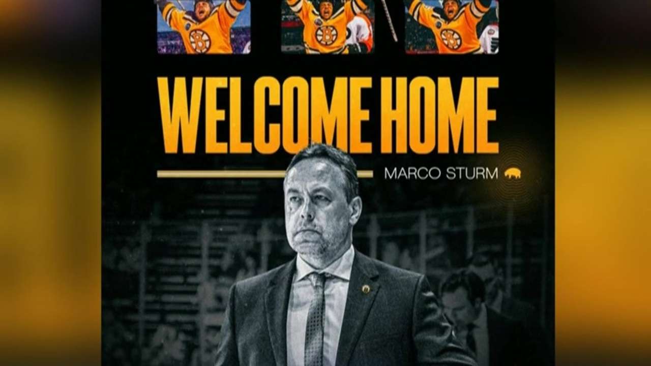 Bruins Hire Marco Sturm as New Head Coach