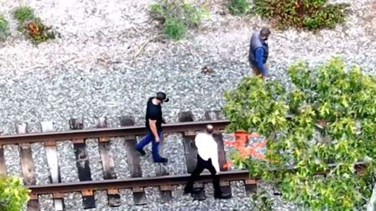 Investigation underway after body found in wooded area in Wareham ...