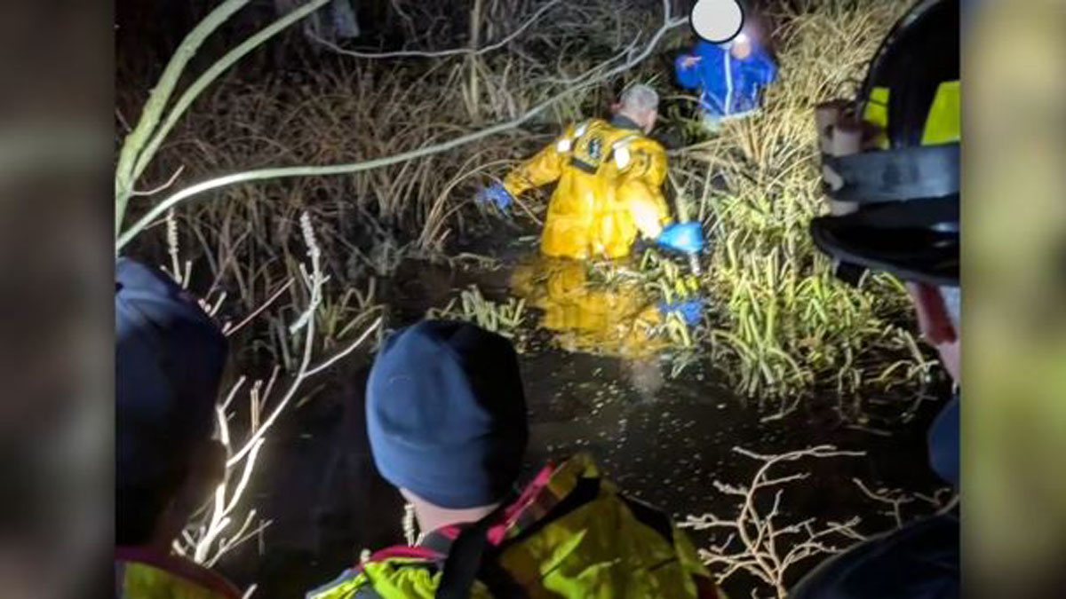 Emergency crews in Manchester by the Sea rescue woman trapped in swamp