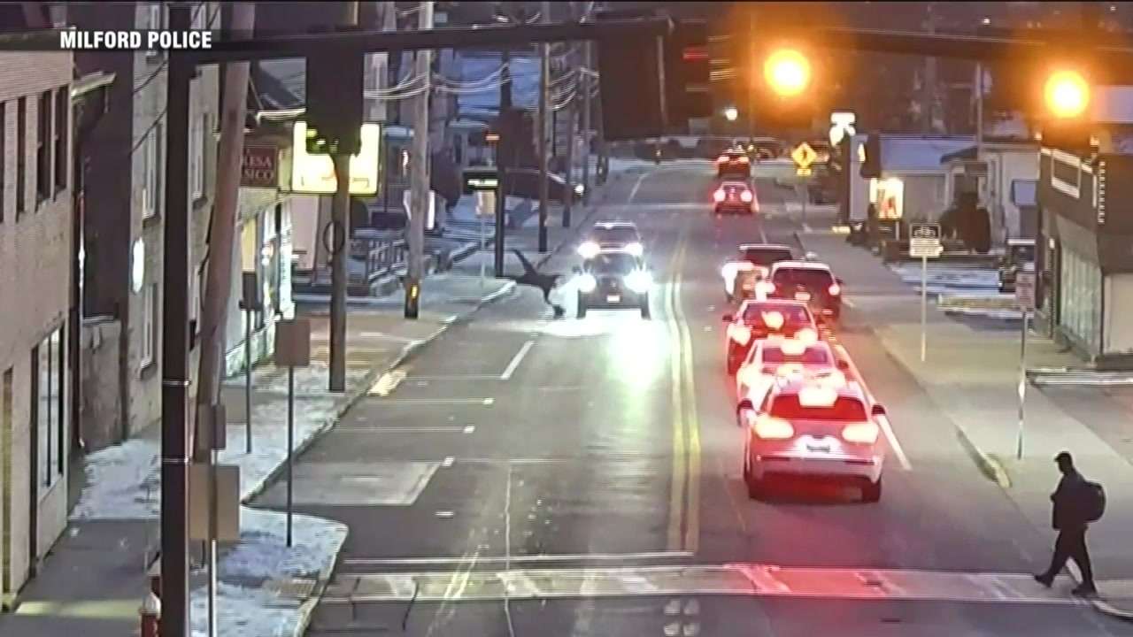 Man recovering after being hit by car in Milford - Boston News, Weather ...