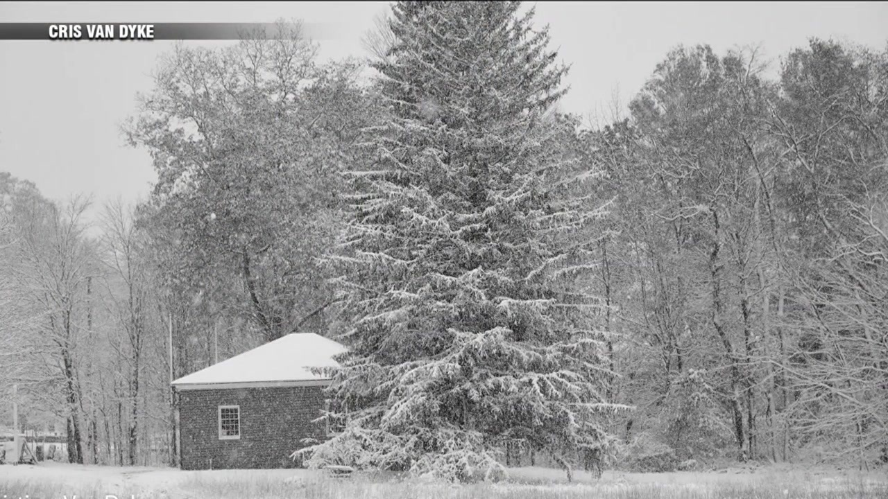 SEE THE GOOD: Volunteers working to preserve historic Concord meadow